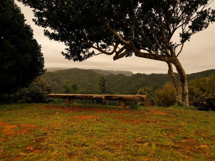 Do You Want to Enjoy a Jeep Tour in a Different Way? - Tour Highlights