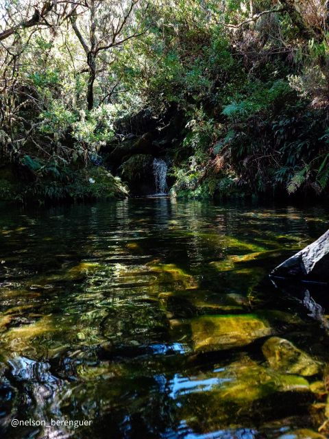 Do You Want to Explore Rabaçal in a Different Way? - Activity Details