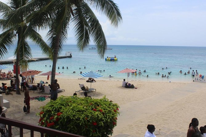 Doctors Cave Beach and Jimmy Buffets Margaritaville With Shopping - Highlights of the Tour