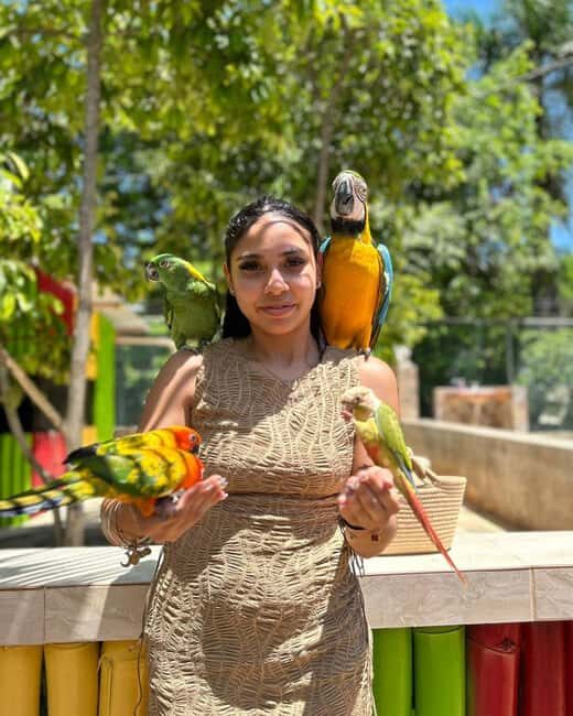 Doctor's Cave Beach, Canabis and Bird Farm Private Tour - Discovering the Heart of Jamaica: A Detailed Look