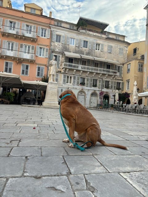 Dog City Tour or Enjoy the City With 4 Paws Guide - Frequently Asked Questions