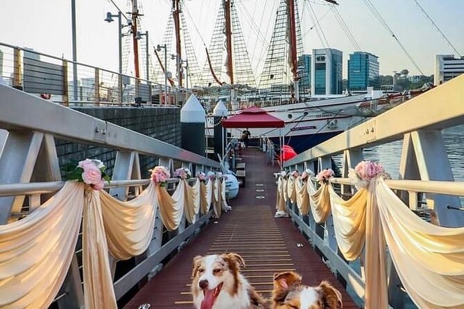 Dog Cruise With 5-Course Seated Dinner - Dinner Menu