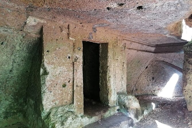 Dog Friendly Tour, Archeological Sites and Nature Around Rome, Package Price - Archeological Wonders