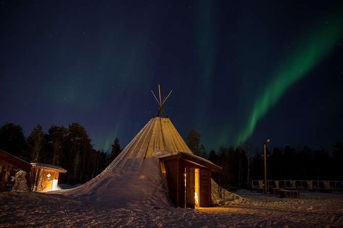 Dog Sled Tour and Puppy Cuddles - Experience Highlights