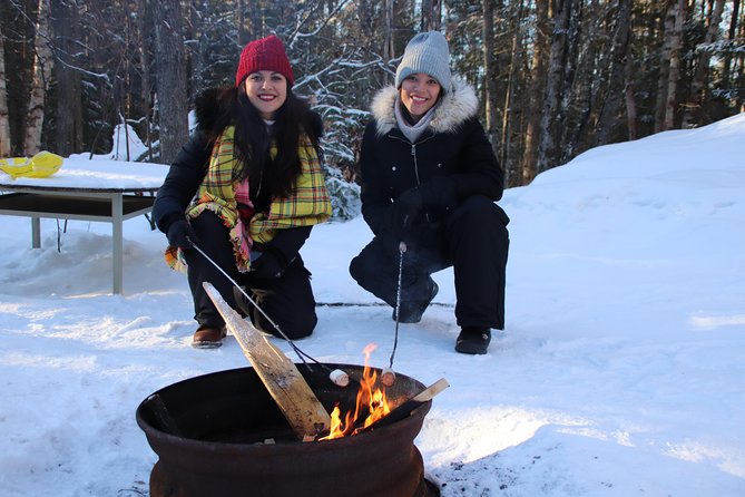 Dog Sledding Adventure From Toronto Private Tour - Date and Travelers