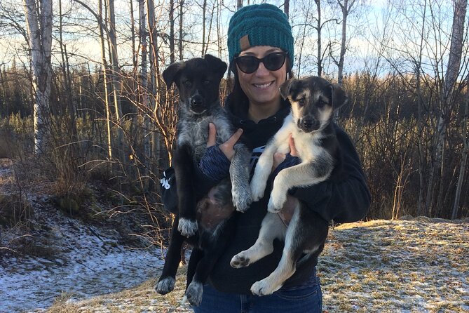 Dog Sledding Adventure in Willow, Alaska - Confirmation and Accessibility