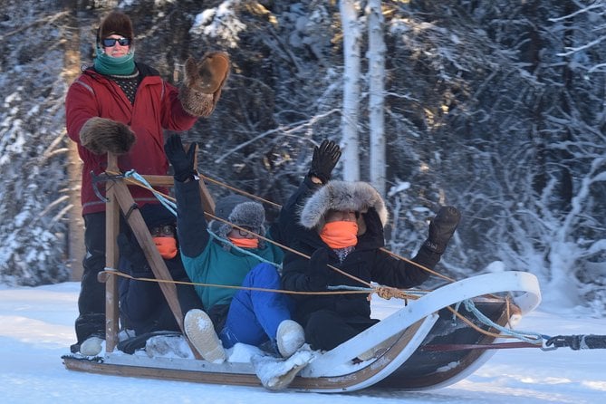 Dog Sledding and Mushing Experience in North Pole - Overview of the Experience