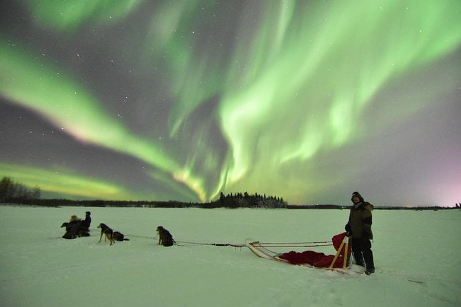 Dog Sledding and Mushing Experience in North Pole - Directions