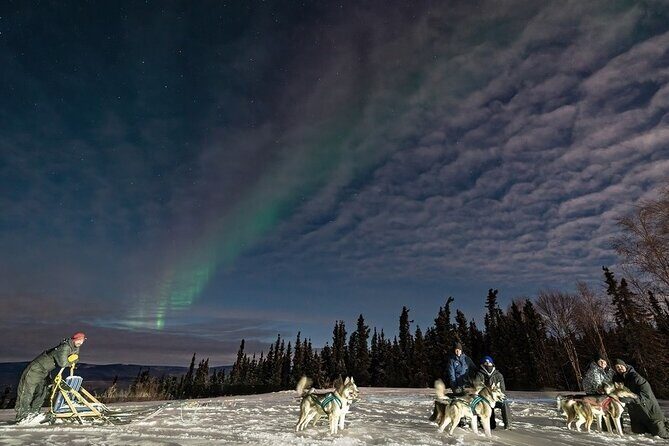 Dog Sledding and Northern Lights Combo Night - Exploring the Dog Sledding and Northern Lights Combo Night in Fairbanks
