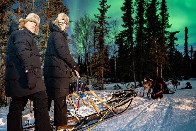Dog Sledding and Northern Lights Combo Night - Good To Know