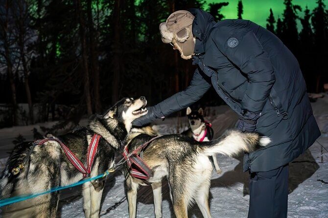 Dog Sledding and Northern Lights Combo Night - The Value of the Experience