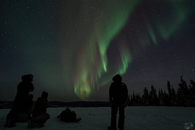Dog Sledding and Northern Lights Combo Night - Who Would Love This Tour?
