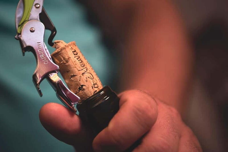 Dogliani: Tasting of 7 Wines in the Heart of the Langhe - An In-Depth Look at the Tour Experience