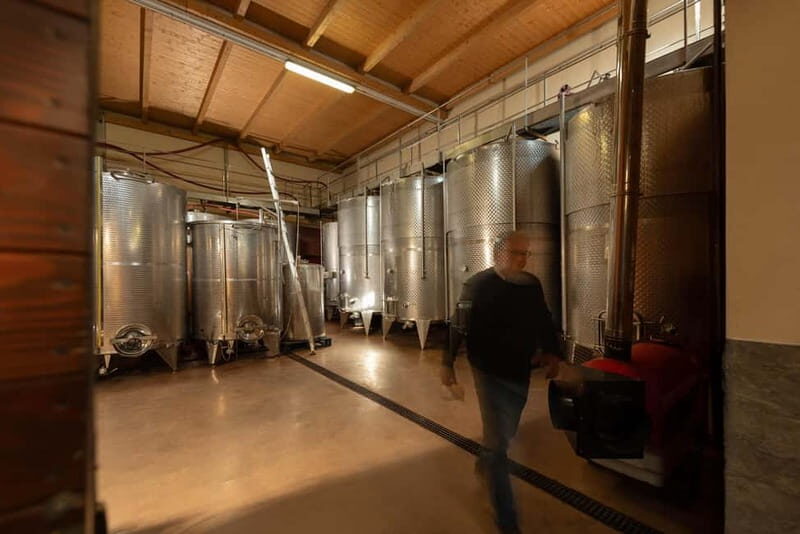 Dogliani: Tasting of 7 Wines in the Heart of the Langhe - The Sum Up: Who Should Consider This Tour?