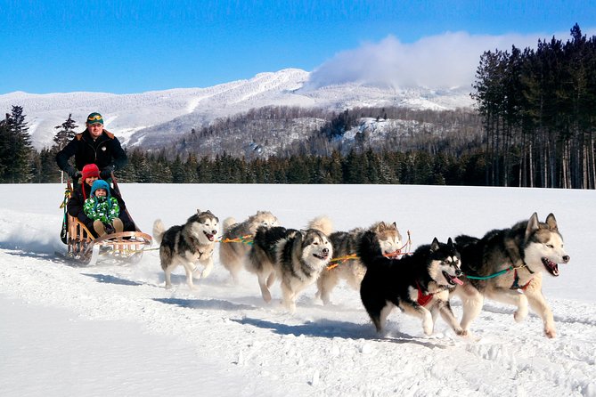 Dogsled Adventure in Mont-Tremblant - Thrilling Ride Through Snowy Landscape