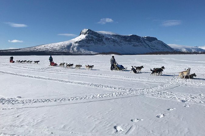 Dogsledding in the Heart of Alaska - FAQs