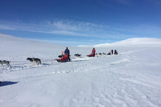 Dogsledding in the Heart of Alaska - Final Words