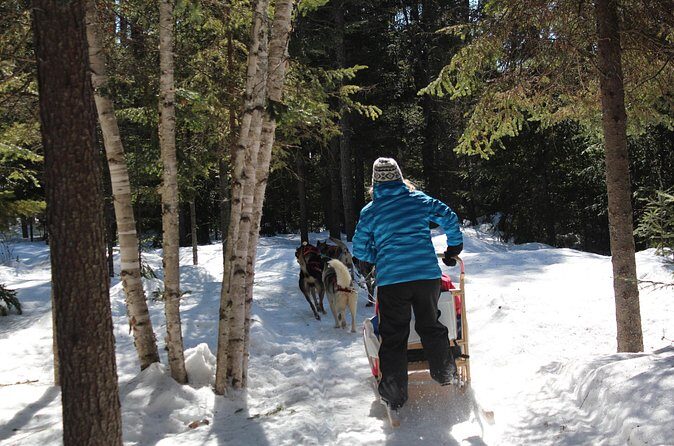 Dogsledding Nordic Adventure in Mont Tremblant - FAQs