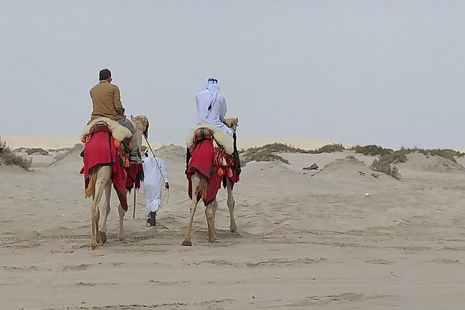 Doha Combo City and Half Day Desert Safari Tour No Hidden Cost - Tour Overview