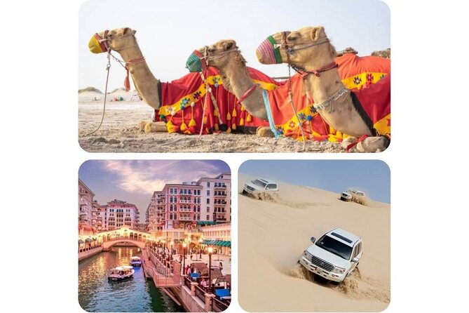 Doha : Combo Private City Tour & Half-day Desert Safari - Private Tour Benefits