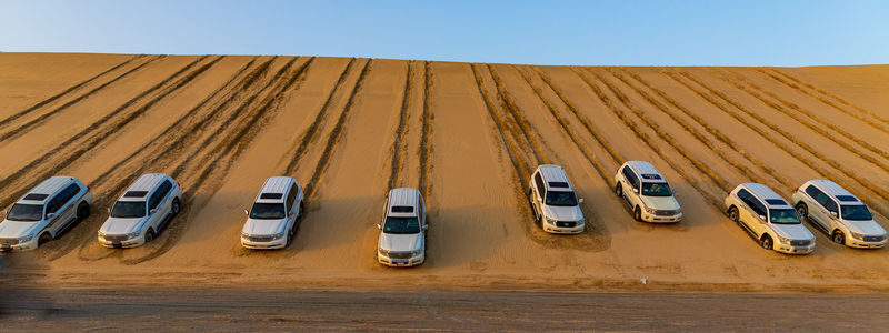 Doha Desert Safari Half-Day Tour - At a glance: the parts that define this safari