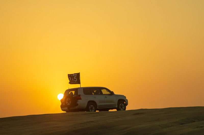 Doha Desert Safari Half-Day Tour - Guides and the human side of the trip