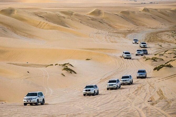 Doha Desert Safari With Camel Ride, Sand Boarding,Inland Sea Tour - Reliable Customer Support for Your Queries