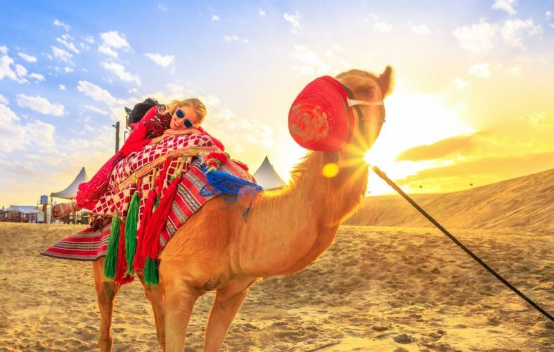 Doha Half-Day Desert Safari & Inland Sea Experience - A quick camel ride, then back to the dunes