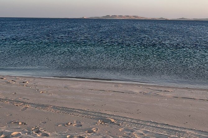 Doha Layover Tour or Doha Stopover Tour - Tour Highlights
