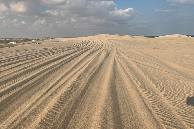 Doha : Night Desert Safari Transit Safari Camel Ride Dune Bashing - Doha Port Cruise Terminal Pick-up