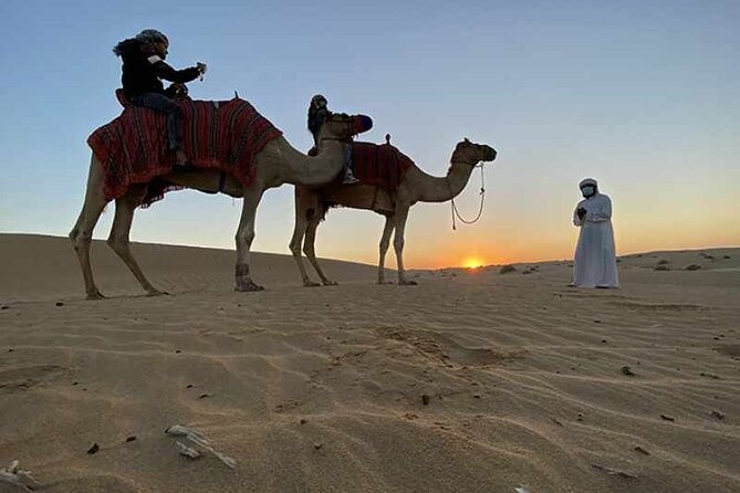 Doha Private Combined Tour City and Desert Safari Tour - Tour Overview and Inclusions