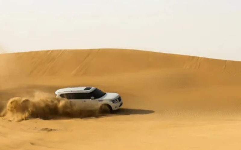 Doha Private Half-Day Desert Safari - At the activity zone, choose your speed