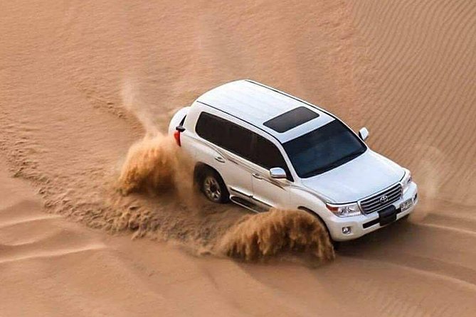 Doha : Private Half Day Desert Safari Camel Riding Falcons Sand Surfing - Tour Details