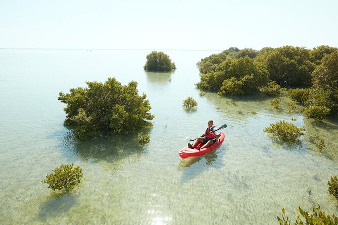 Doha Private North Qatar Tour, Mangroves and Al Zubarah Fort - Booking Details