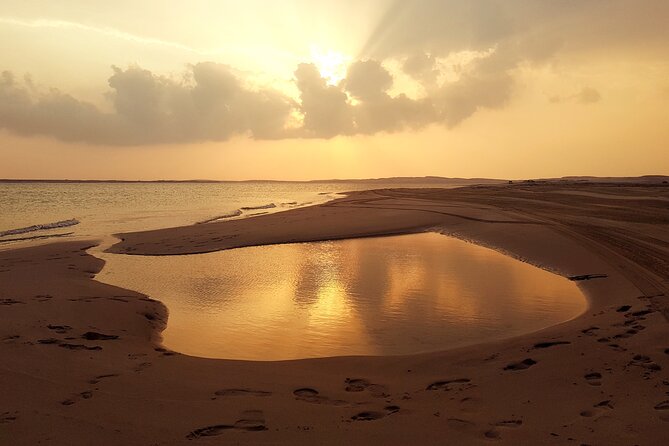 Doha: Private Sunrise Desert Safari Morning Desert Safari - Uncover the Beauty of Dohas Morning Desert Safari