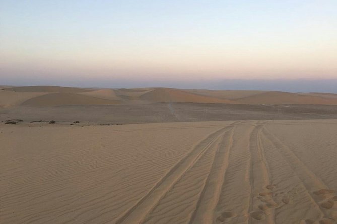 Doha Qatar Budget Desert Safari Experience - Option to Ride a Camel