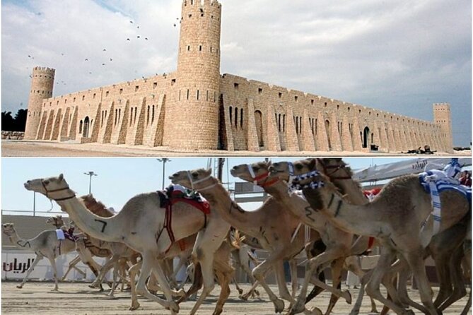 Doha, Qatar: Came Racing Track, Oryx & Sheikh Faisal Museum Tour. - The Sum Up