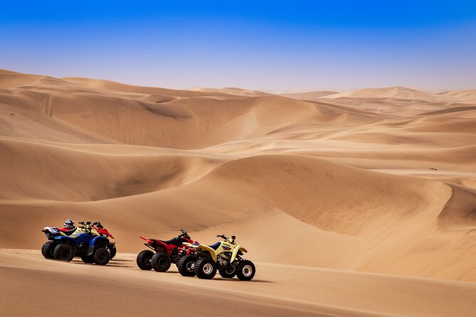 Doha: Quadbike, Dune Bashing, Camel Ride, Inland Sea Visit - Pricing and Booking Details