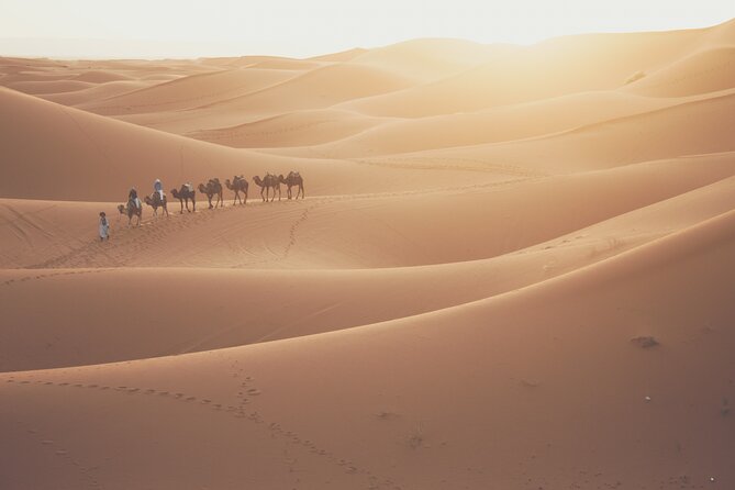 Doha Sunrise Desert Safari Tour Dune Bashing Inland Sea Visit Camel Riding - Cancellation Policy