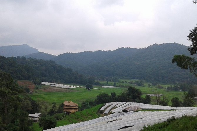 Doi Inthanon Day Tour - What to Bring