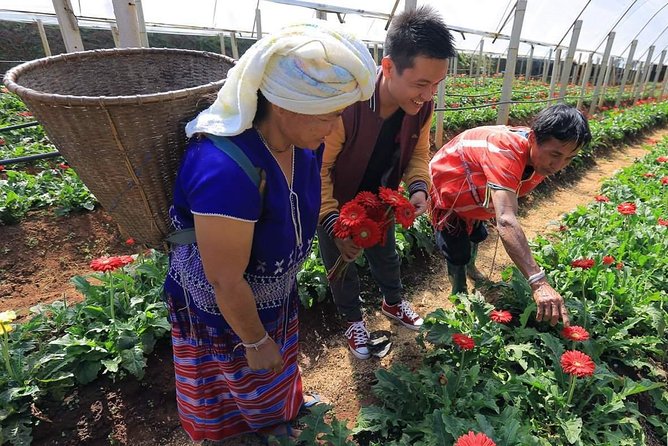 Doi Inthanon Day Tour From Chiang Mai With Twin Pagodas & Hill-Tribe Village - Hill-Tribe Village Experience