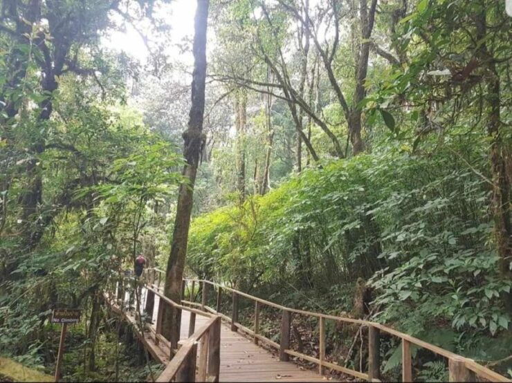 Doi Inthanon: Full-Day Tour With Waterfalls & Hilltribes - Experience Highlights