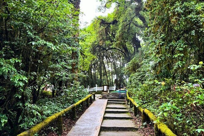 Doi Inthanon National Park and Hike Pha Dok Siew Nature Trail - Final Thoughts: Is This Tour Right for You?
