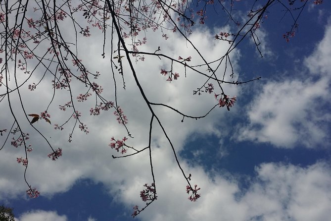 Doi Inthanon National Park and Hiking - Location and Overview