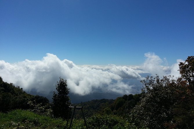 Doi Inthanon National Park and Hiking - Best Time to Visit