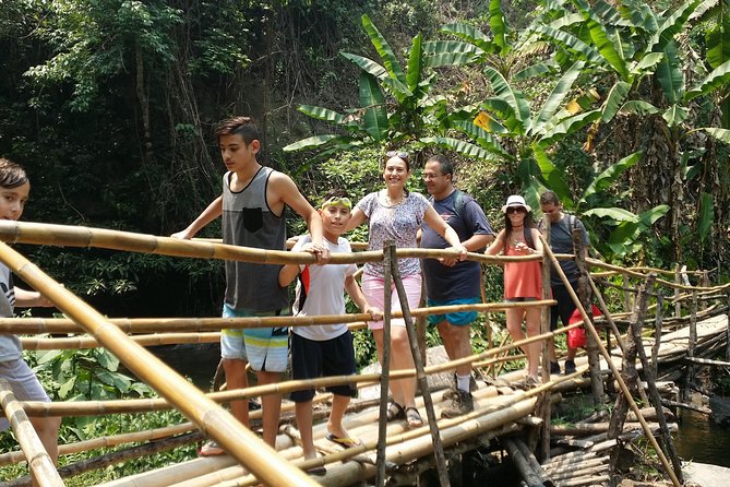 Doi Inthanon National Park and Hiking - Insider Tips for a Memorable Experience