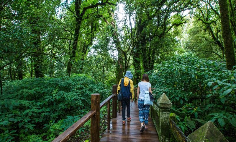 Doi Inthanon National Park Day Tour in Chiang Mai - A full day above Chiang Mai