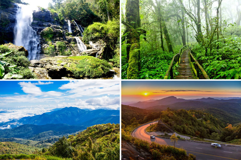 Doi Inthanon National Park Full-Day Small Group Tour - Waterfalls first: Mae Klang and Wachirathan