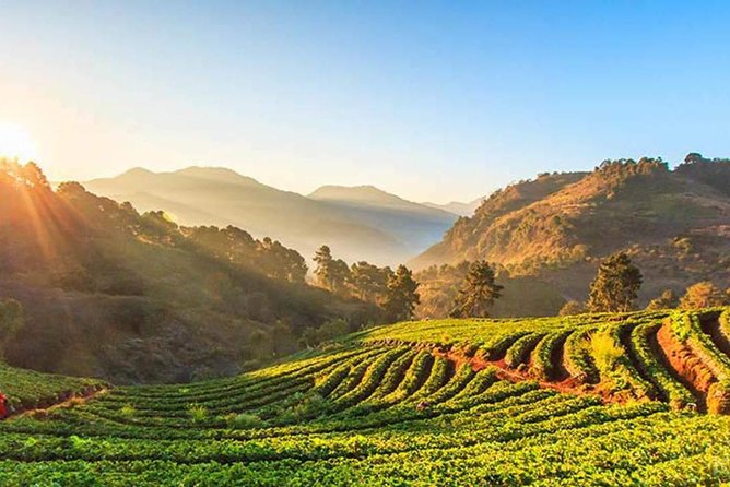 Doi Inthanon National Park Full Day Tour From Chiang Mai - Cancellation Policy and Refund Information