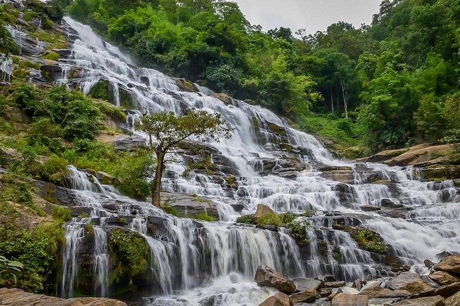 Doi Inthanon National Park Full Day Tour From Chiang Mai - The Sum Up